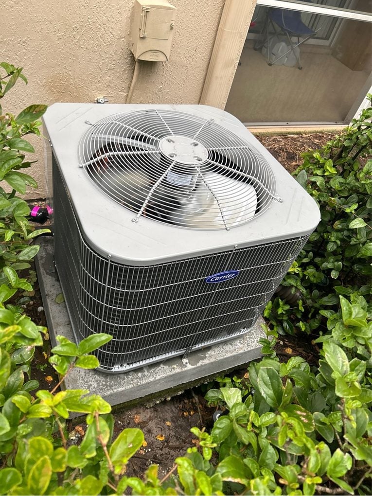 A Carrier condenser on a pad with the surrounding shrubs trimmed back to keep airflow clearance around the unit