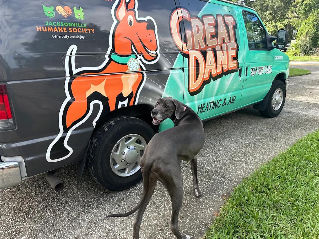 A Great Dane at the Great Dane Heating & Air van